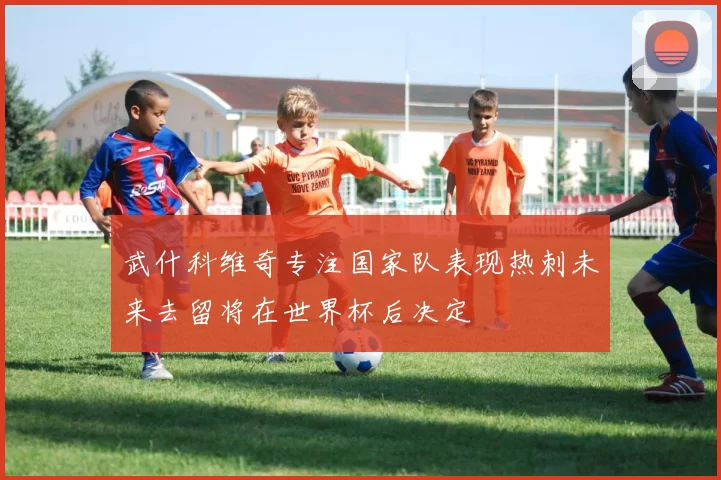武什科维奇专注国家队表现热刺未来去留将在世界杯后决定